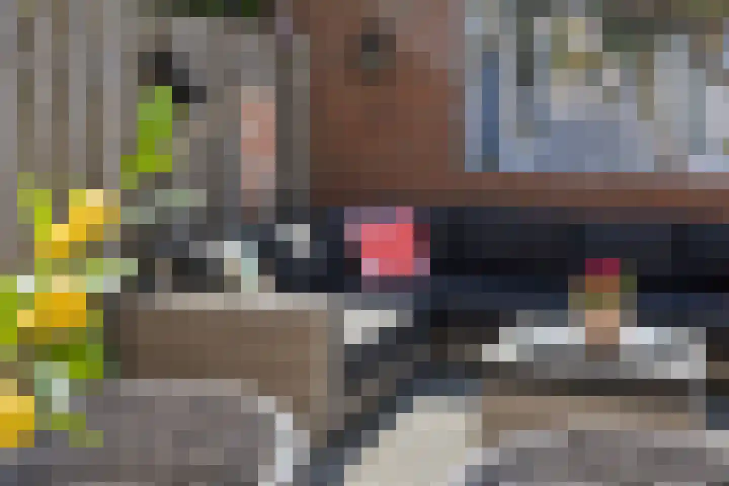 Larekamp 37 Elst Ut thumbnail 30