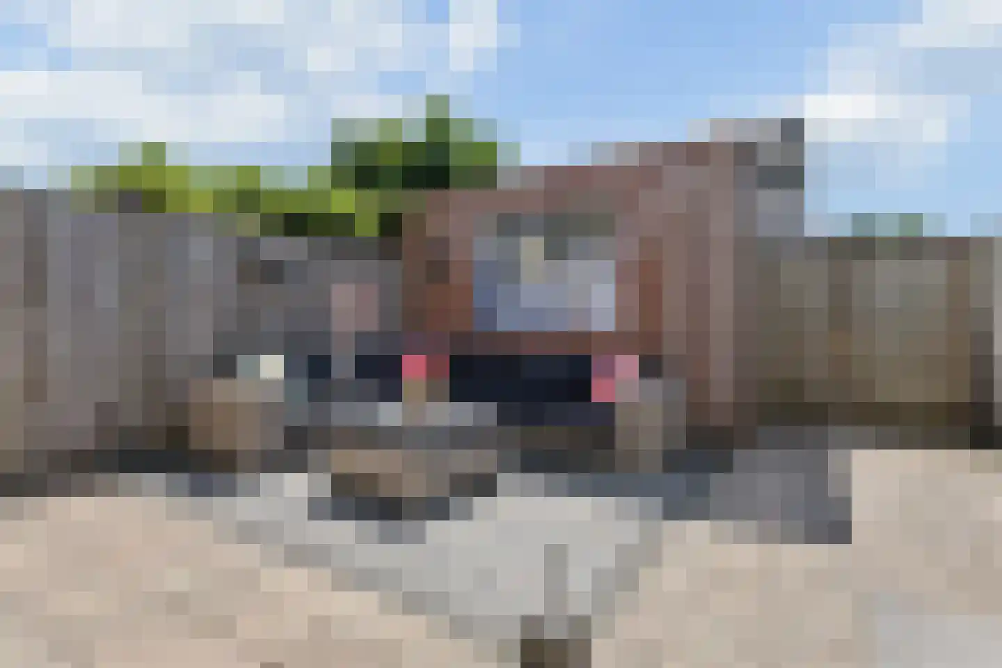 Larekamp 37 Elst Ut thumbnail 31