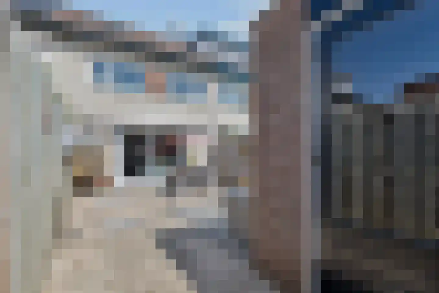 Larekamp 37 Elst Ut thumbnail 34
