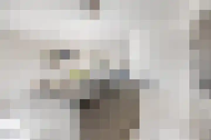 Larekamp 5 Elst Ut thumbnail 12