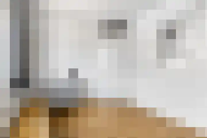 Larekamp 5 Elst Ut thumbnail 23