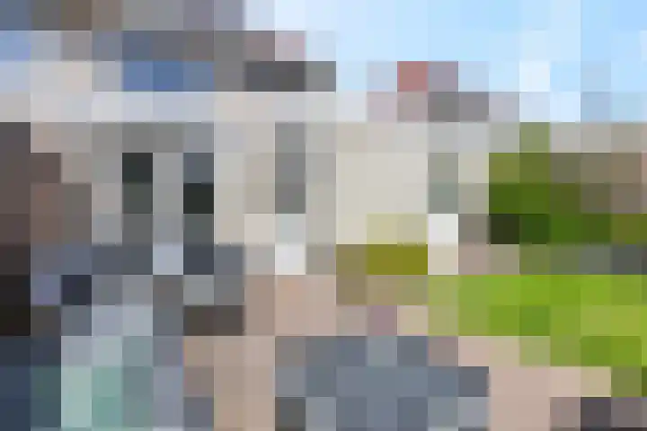 Larekamp 5 Elst Ut thumbnail 29