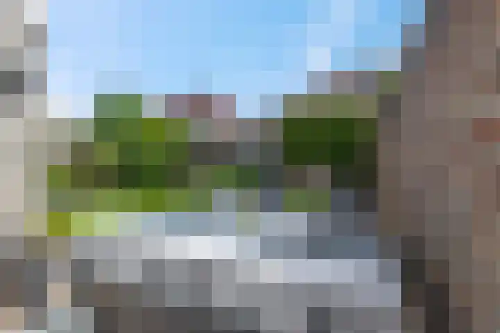 Larekamp 5 Elst Ut thumbnail 32