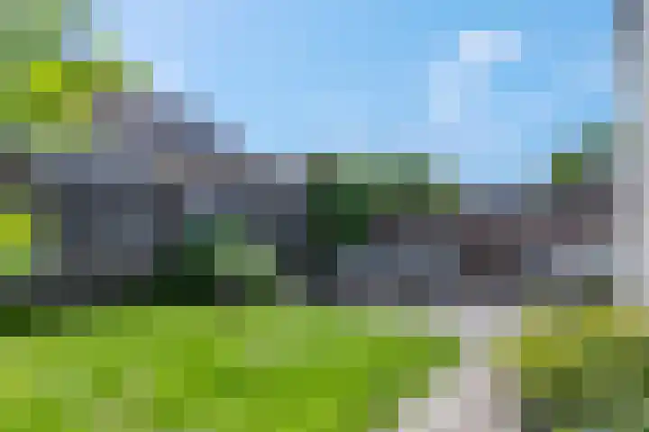 Larekamp 5 Elst Ut thumbnail 33