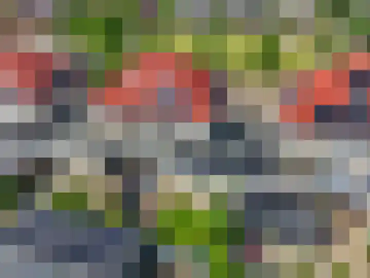 Larekamp 5 Elst Ut thumbnail 39