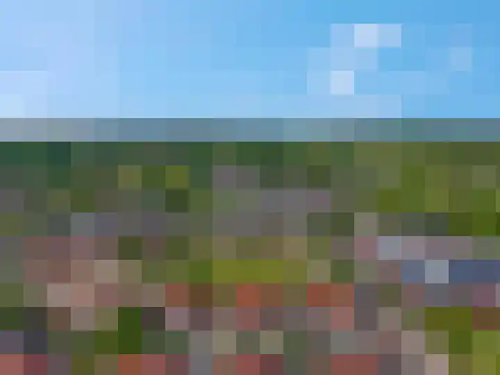 Larekamp 5 Elst Ut thumbnail 40