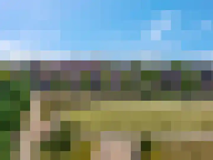 Larekamp 5 Elst Ut thumbnail 41