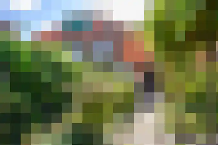 Larenseweg 105 Hilversum thumbnail 30
