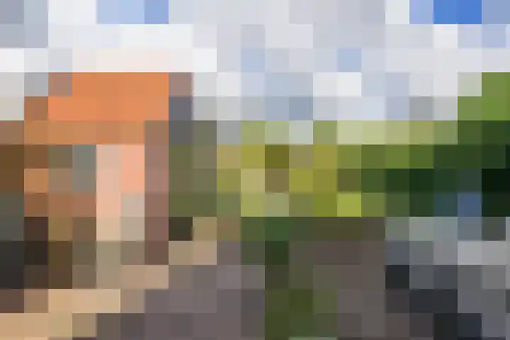 Larenseweg 105 Hilversum thumbnail 35