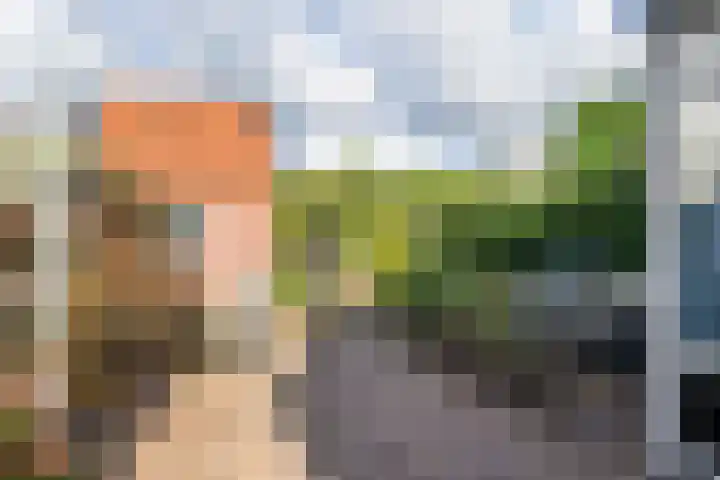 Larenseweg 105 Hilversum thumbnail 36