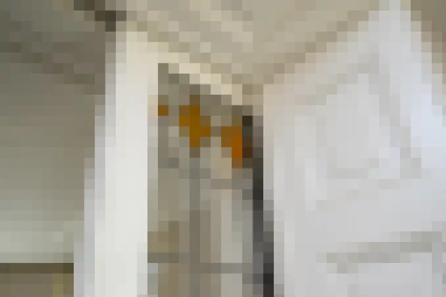 Larenseweg 133 Hilversum thumbnail 7