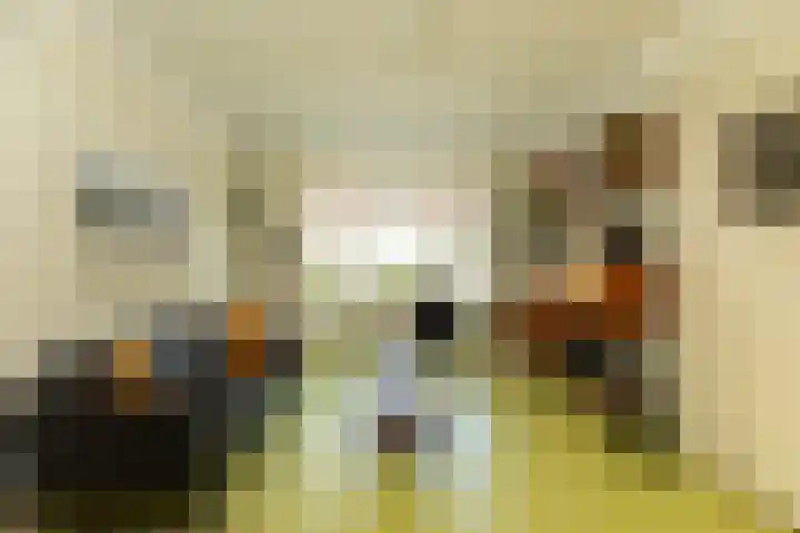 Larenseweg 147 B Hilversum thumbnail 7