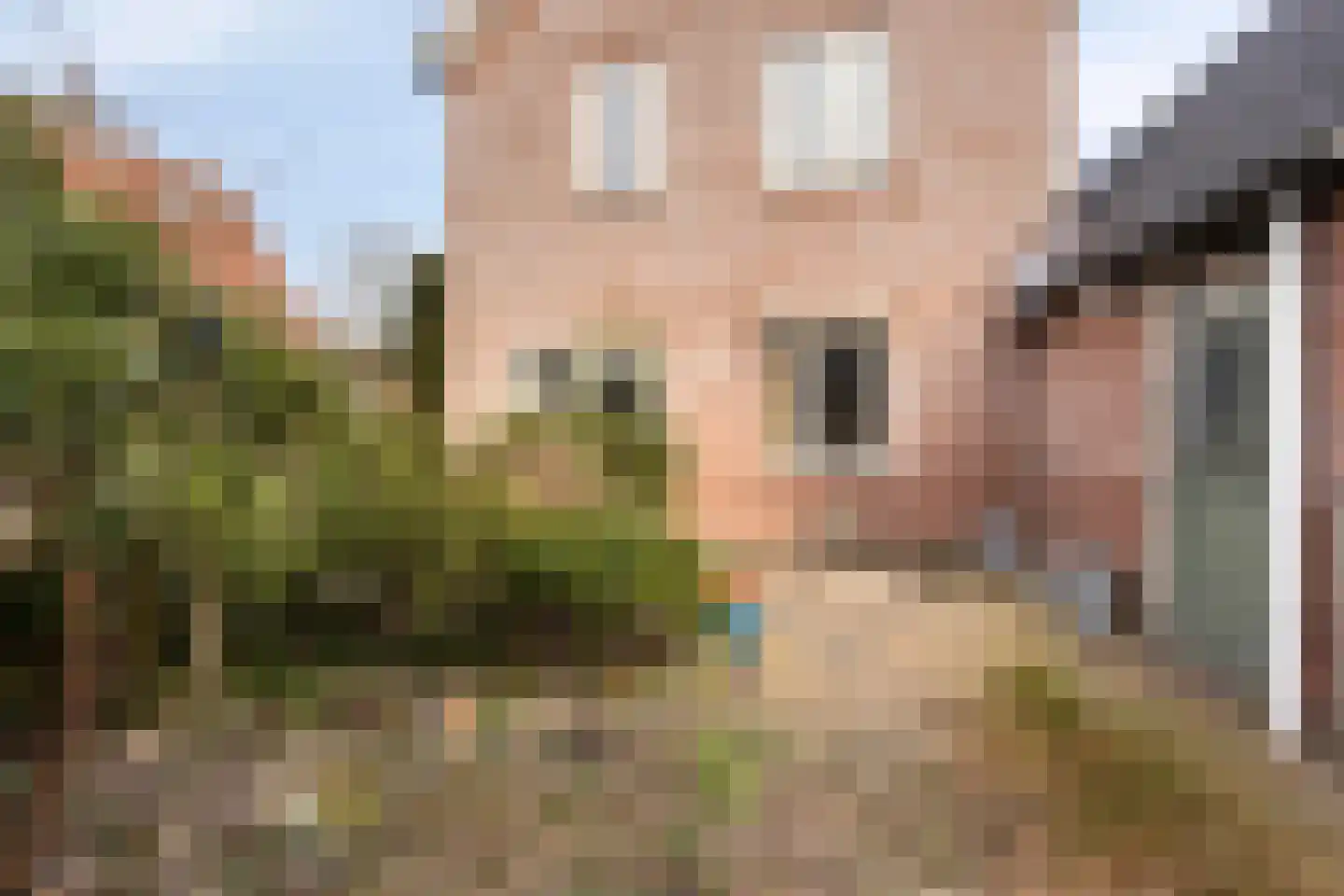 Larenseweg 15 Lochem thumbnail 31