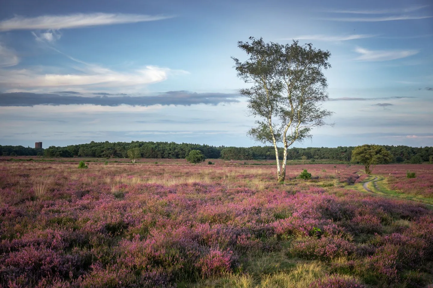 Larenseweg 157 14 Hilversum thumbnail 21