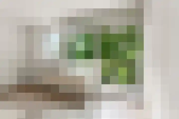 Larenseweg 157 22 Hilversum thumbnail 12