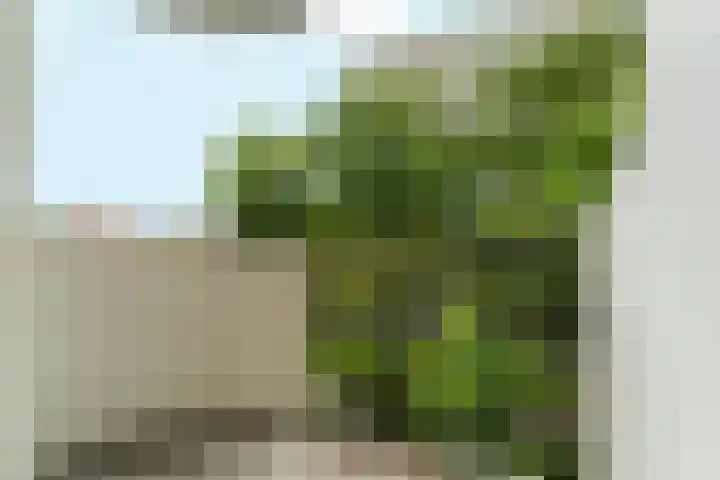 Larenseweg 157 22 Hilversum thumbnail 13