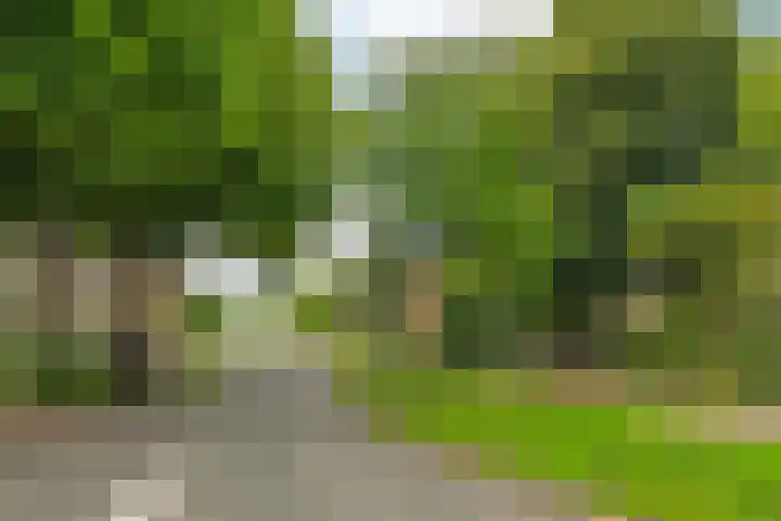 Larenseweg 157 22 Hilversum thumbnail 36