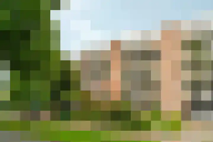 Larenseweg 157 22 Hilversum thumbnail 40