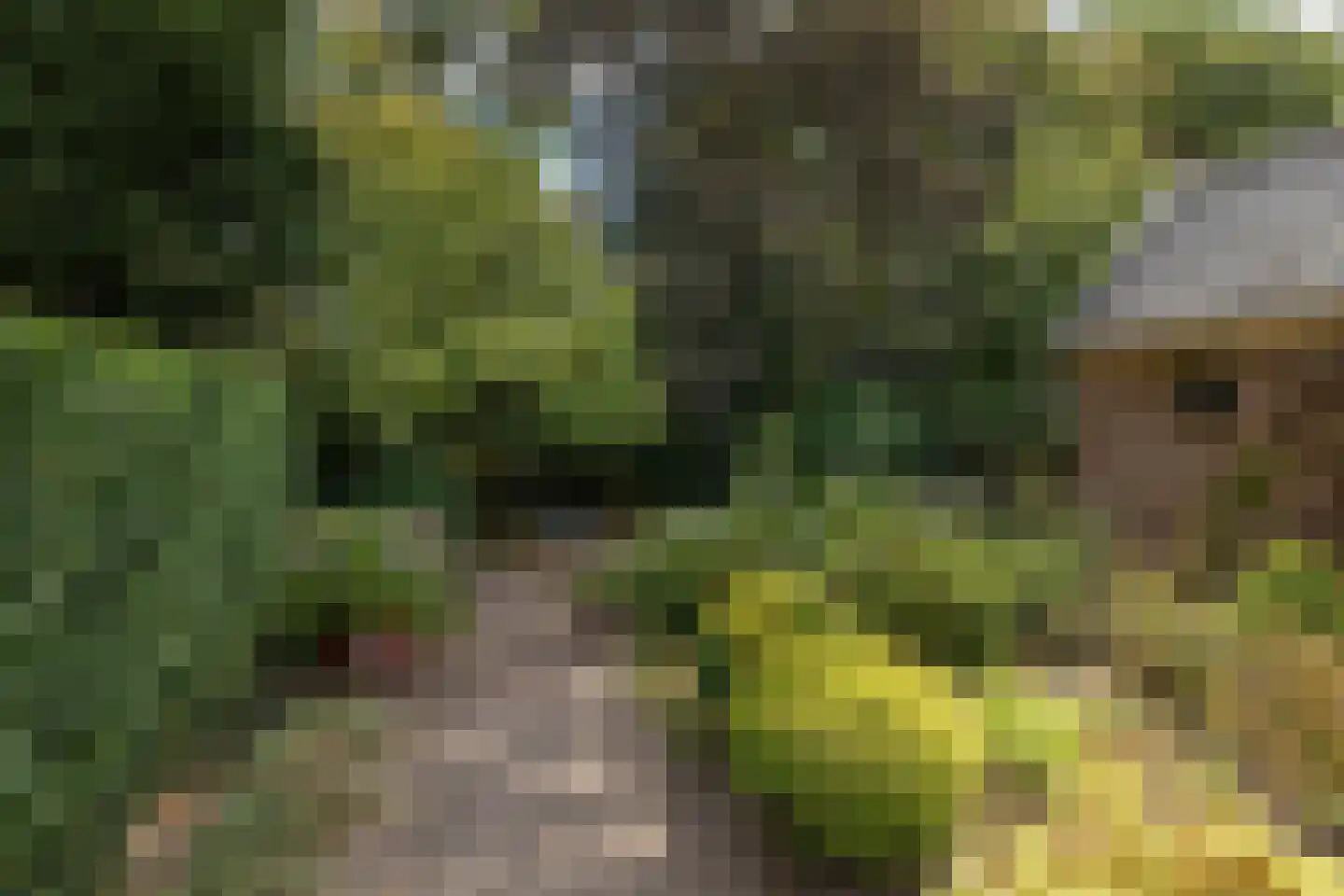 Larenseweg 226 Hilversum thumbnail 27