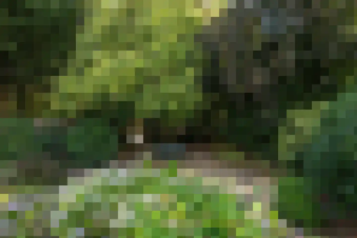 Larenseweg 226 Hilversum thumbnail 28