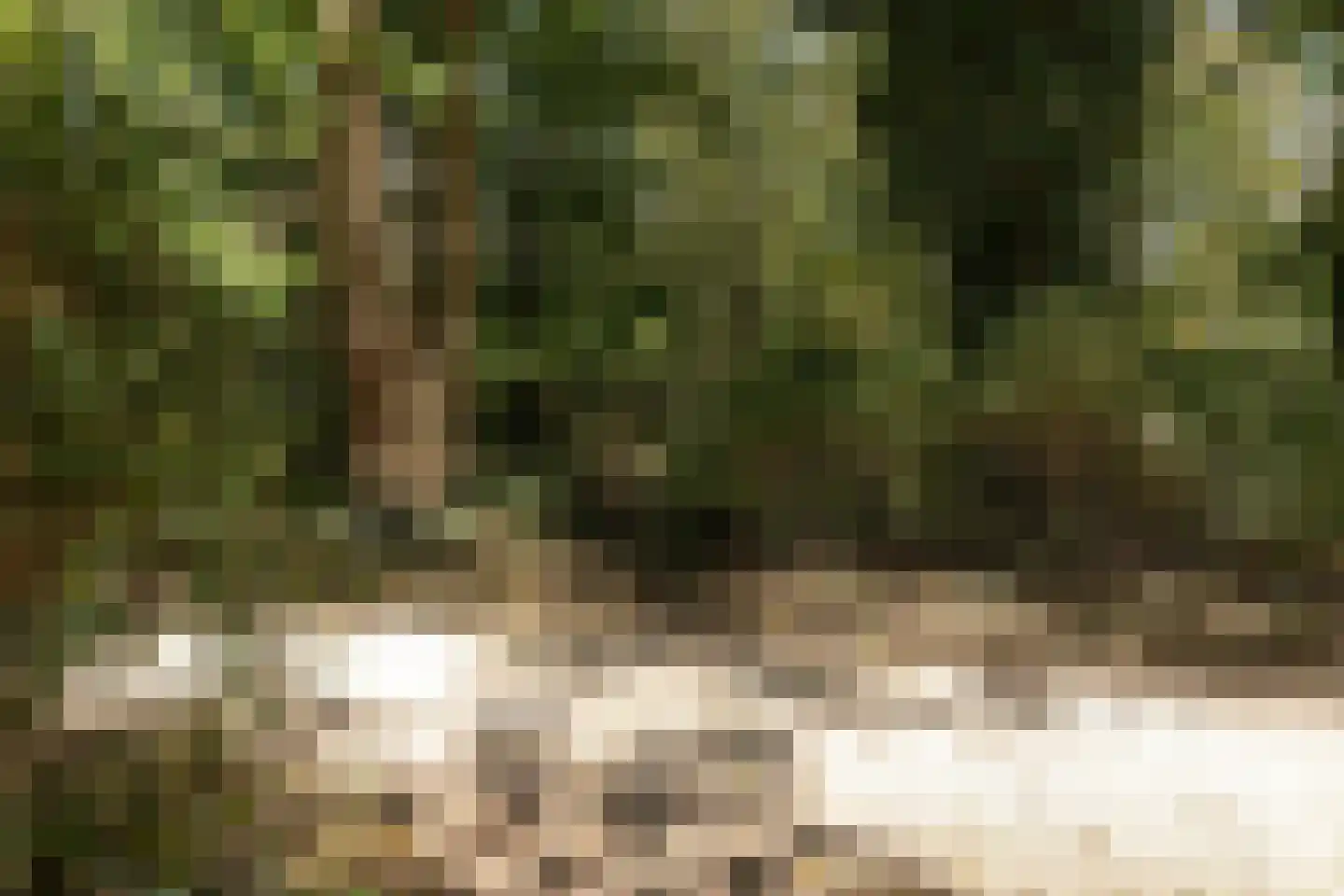Larenseweg 226 Hilversum thumbnail 30