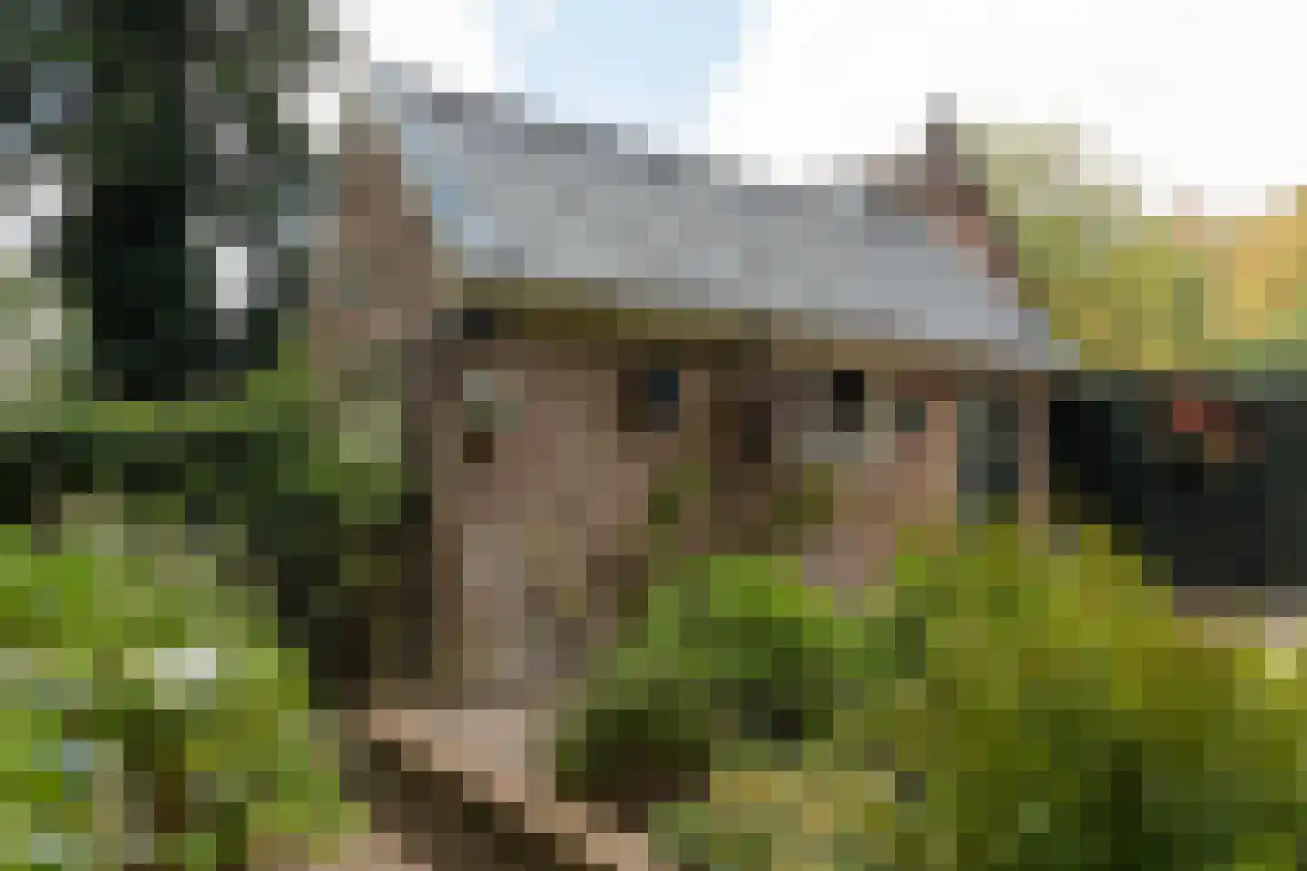 Larenseweg 226 Hilversum thumbnail 31
