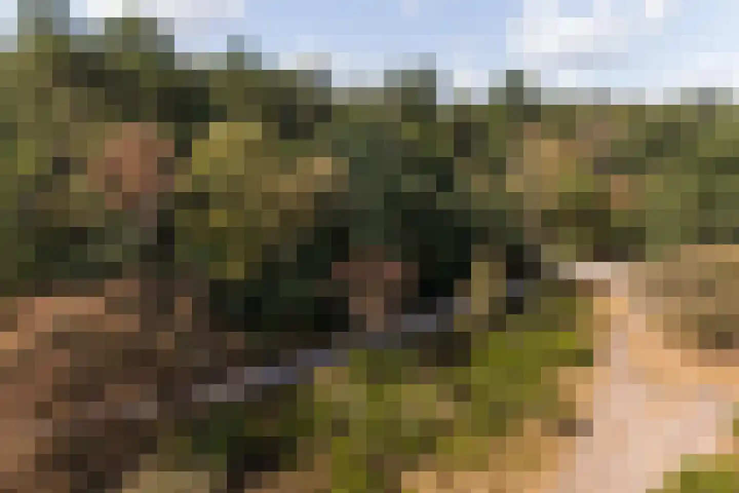 Larenseweg 226 Hilversum thumbnail 36