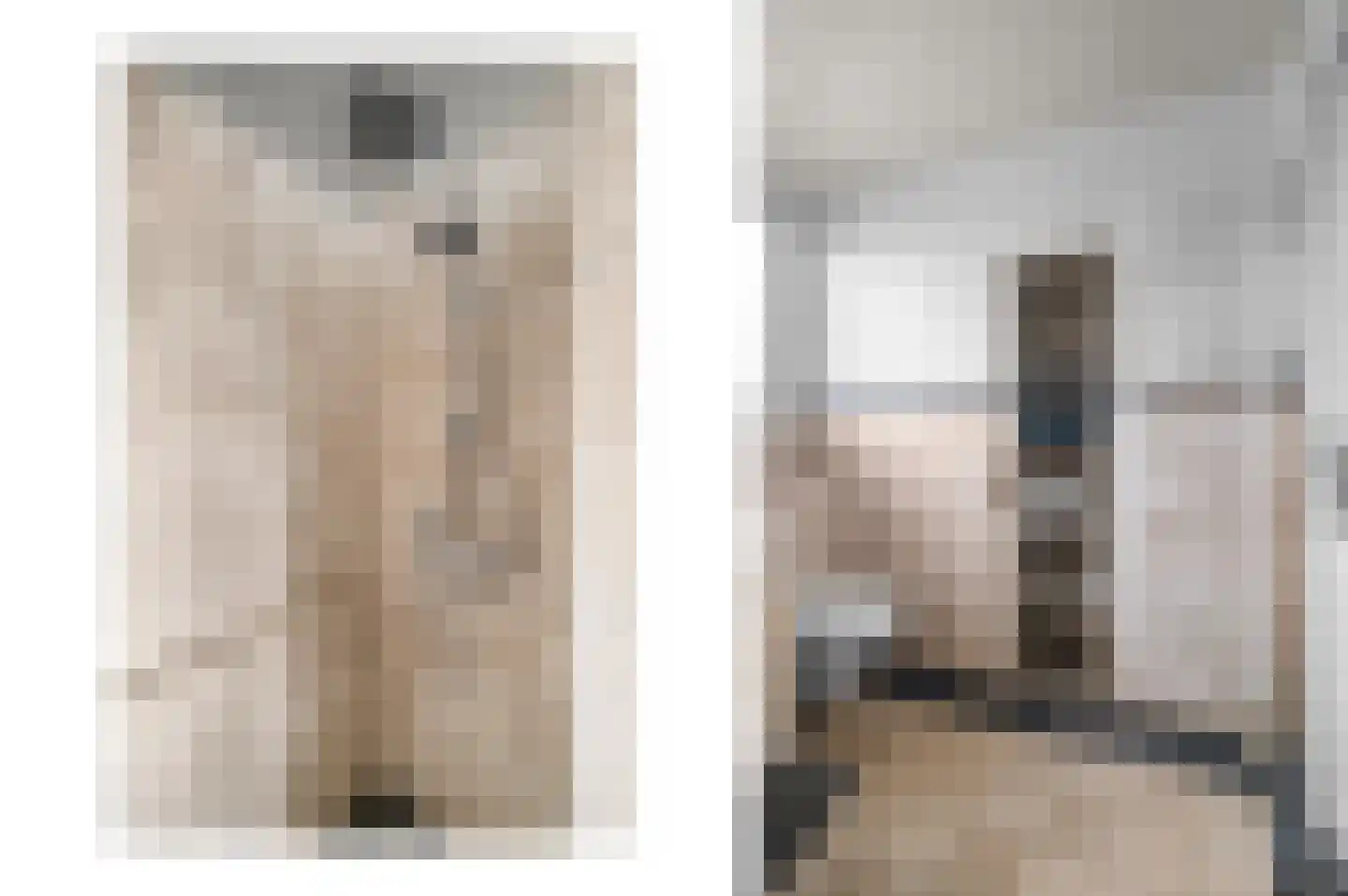 Larenseweg 26 Bathmen thumbnail 25