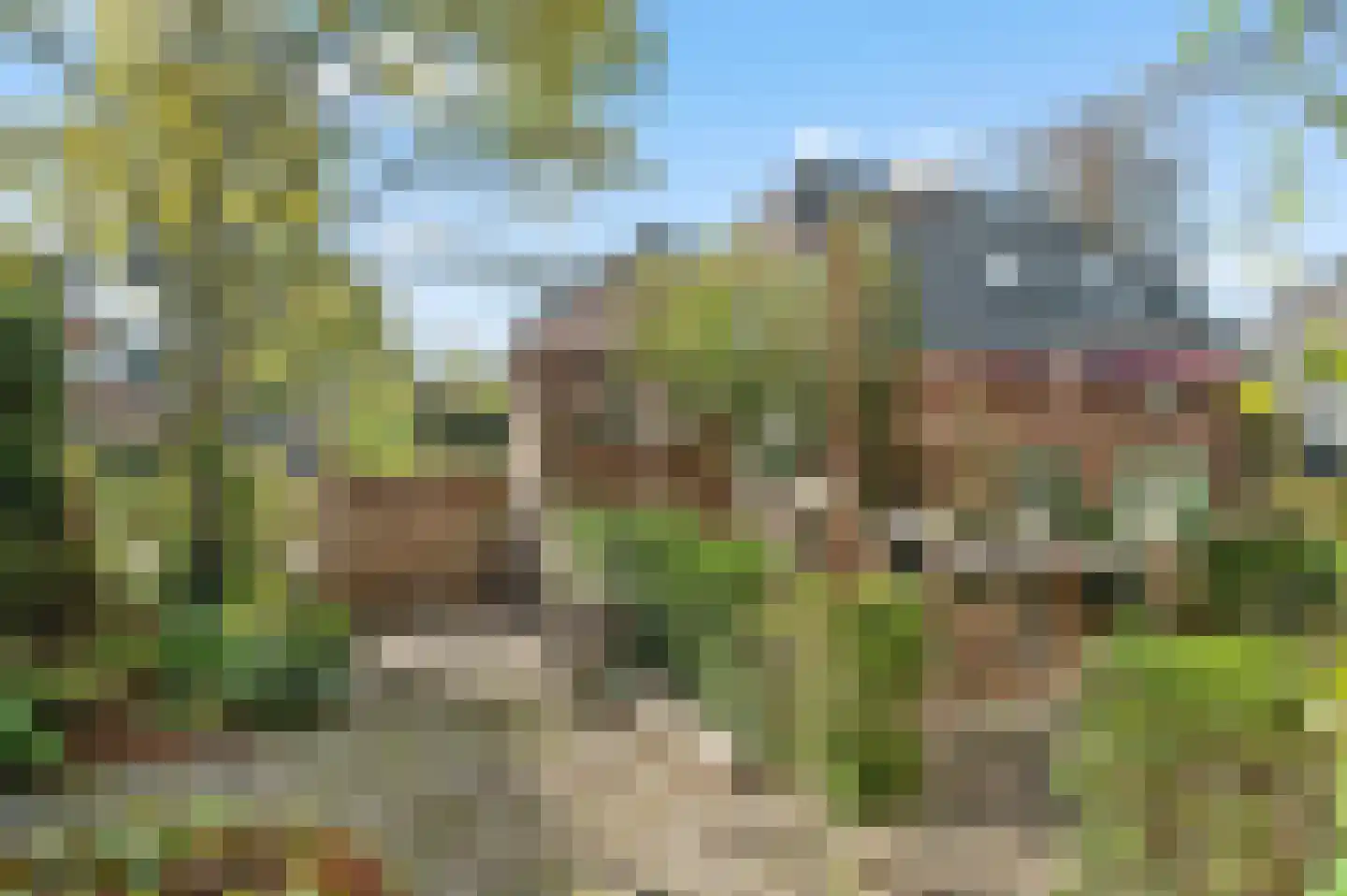 Larenseweg 26 Bathmen thumbnail 27