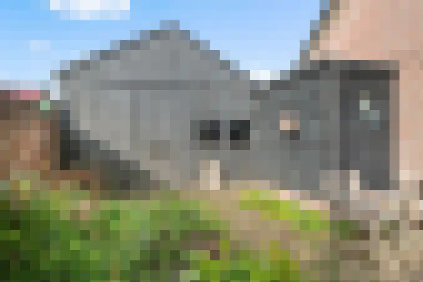 Larenseweg 26 Bathmen thumbnail 29