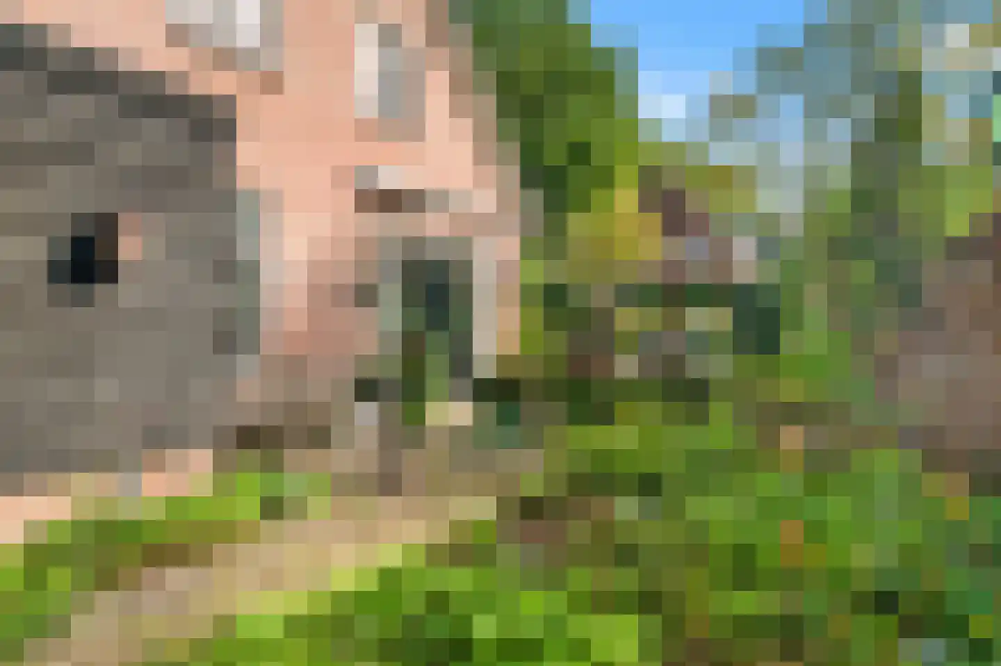 Larenseweg 26 Bathmen thumbnail 30
