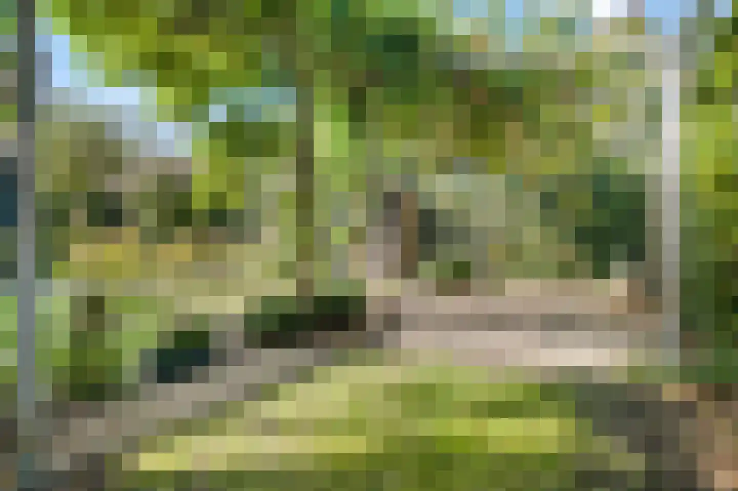 Larenseweg 26 Bathmen thumbnail 34