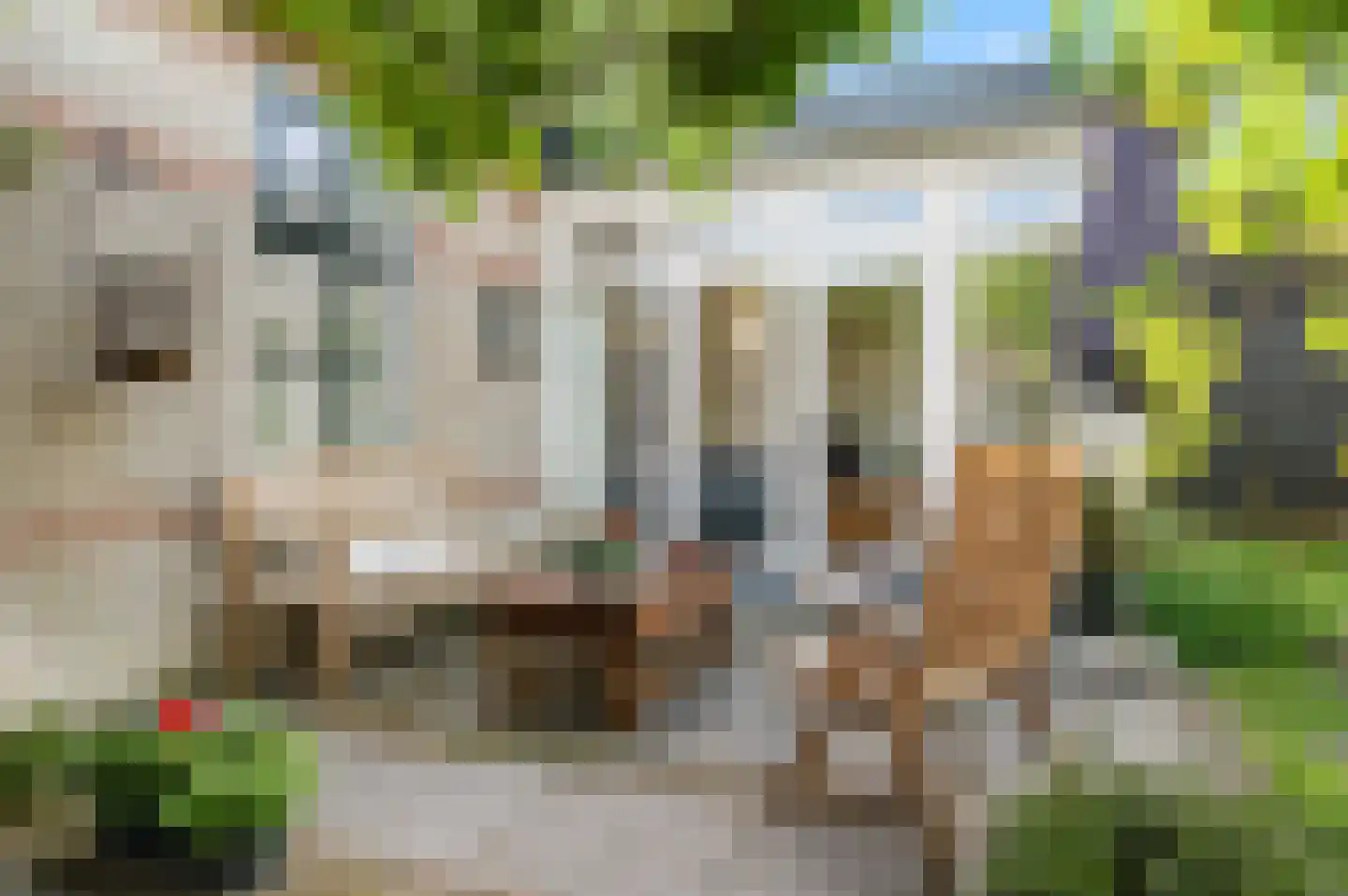Larenseweg 26 Bathmen thumbnail 36
