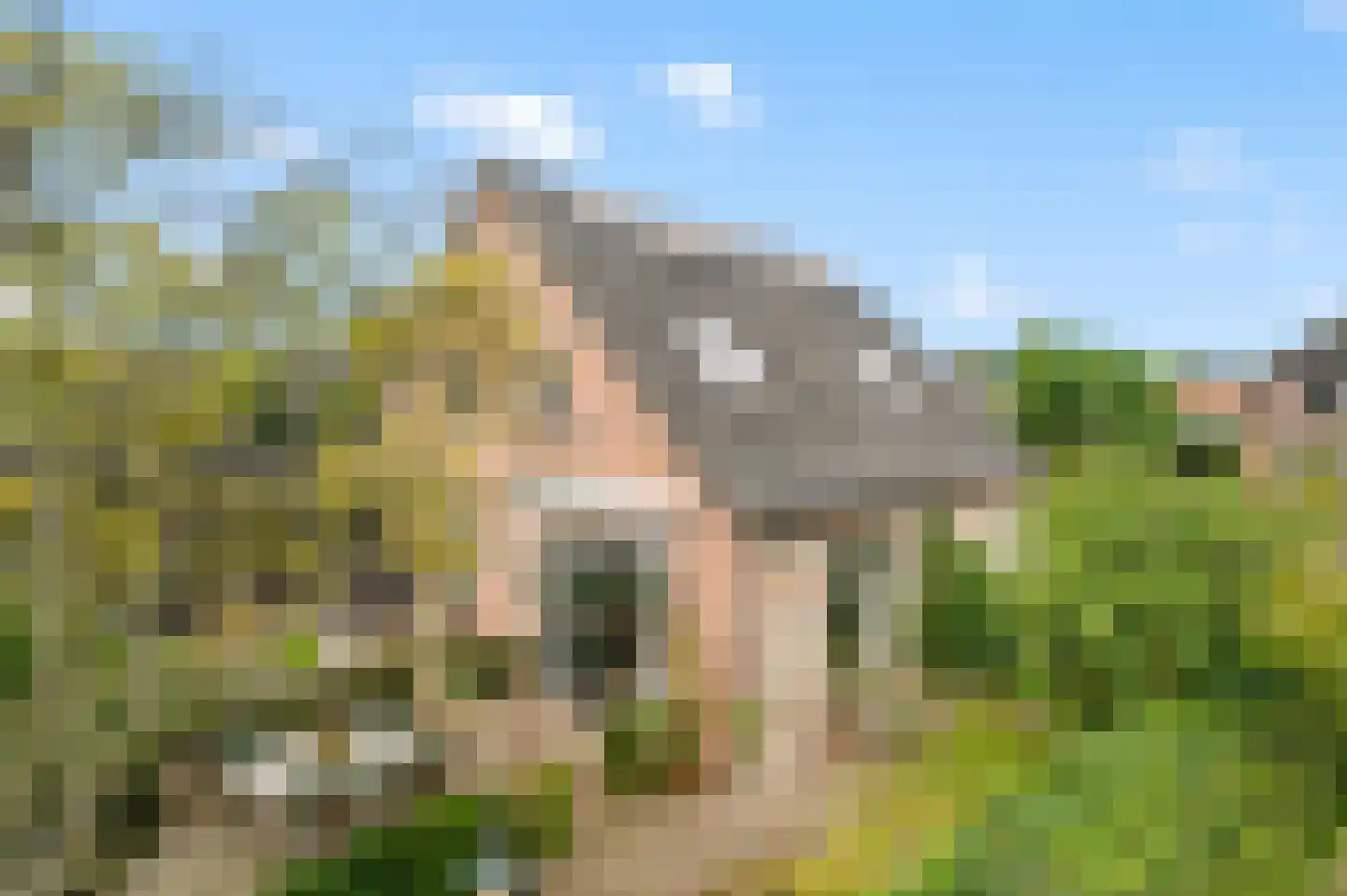 Larenseweg 26 Bathmen thumbnail 38