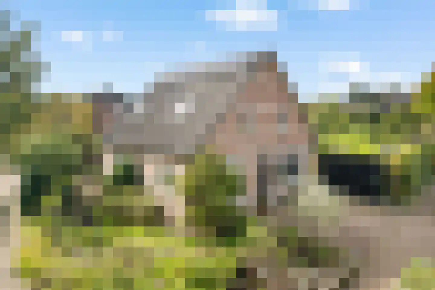 Larenseweg 26 Bathmen thumbnail 41