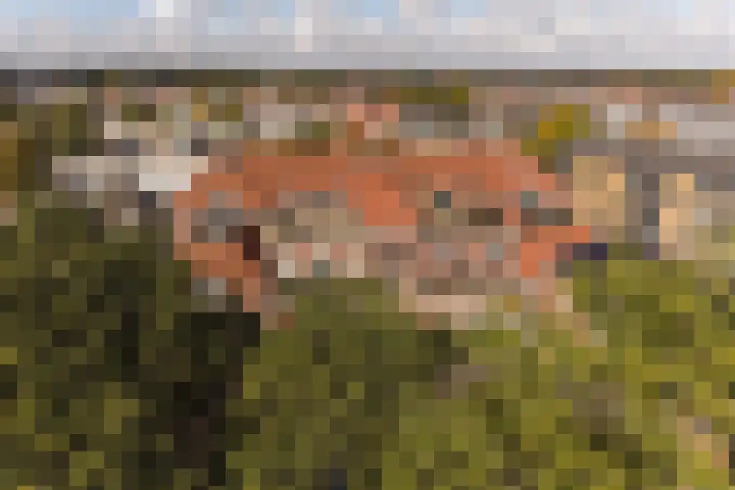 Larenseweg 28 A 18 Hilversum thumbnail 38