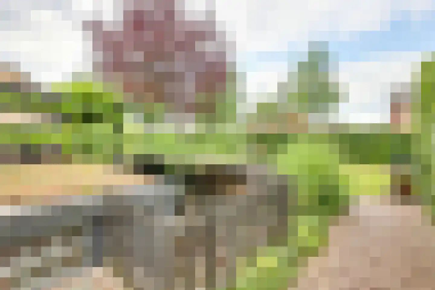Larenseweg 35 Holten thumbnail 39