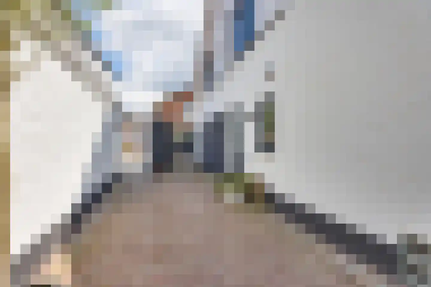 Larenseweg 35 Holten thumbnail 42