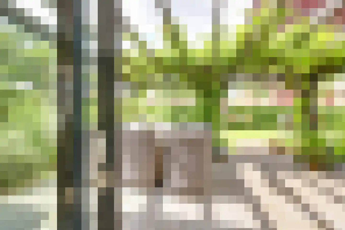 Larenseweg 35 Holten thumbnail 6