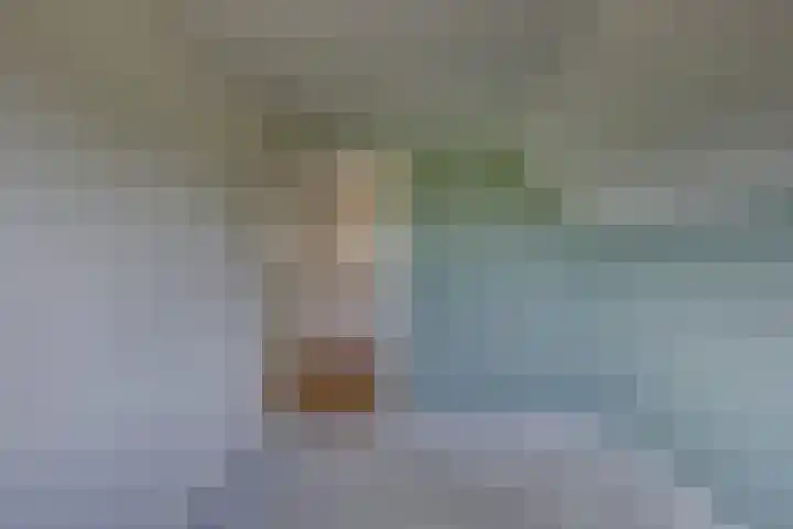 Larenseweg 49 Markelo thumbnail 21