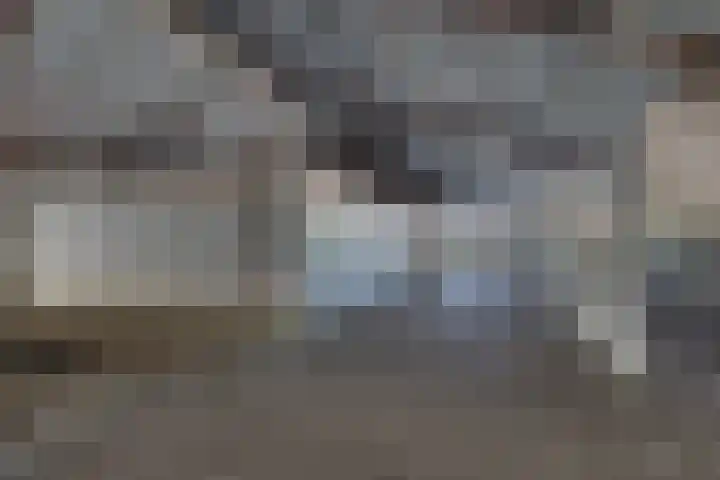 Larenseweg 49 Markelo thumbnail 30