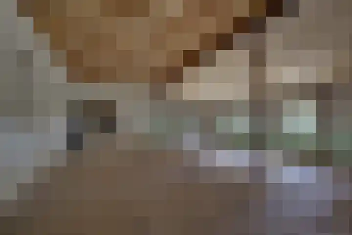 Larenseweg 49 Markelo thumbnail 33