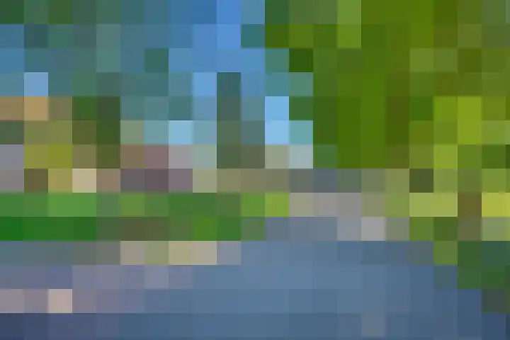 Larenseweg 49 Markelo thumbnail 45
