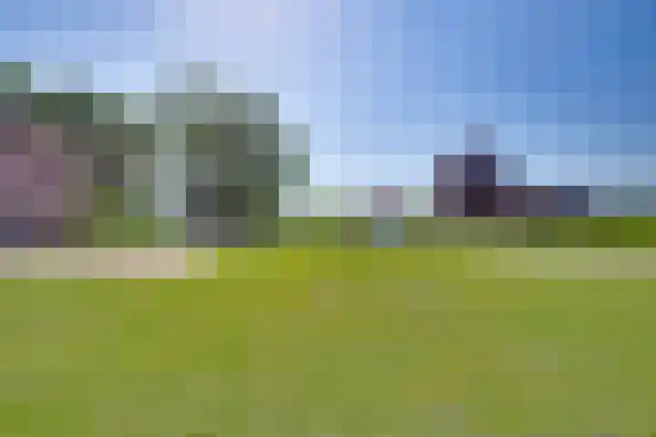 Larenseweg 49 Markelo thumbnail 46