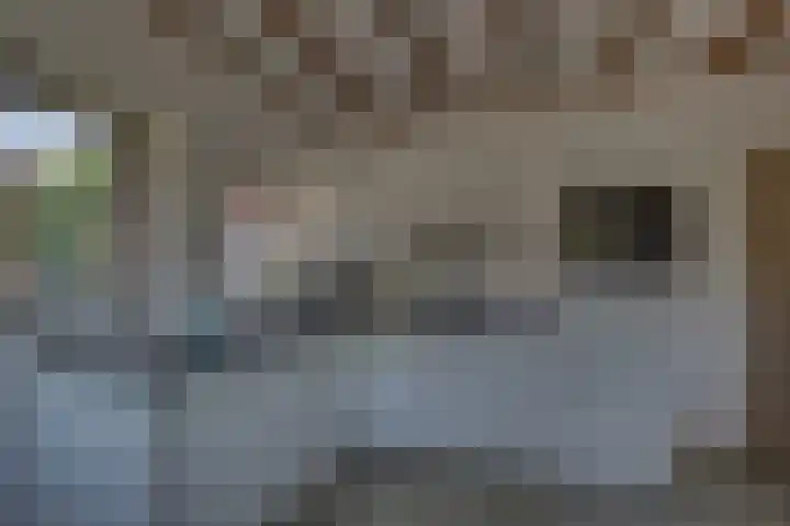 Larenseweg 49 Markelo thumbnail 7