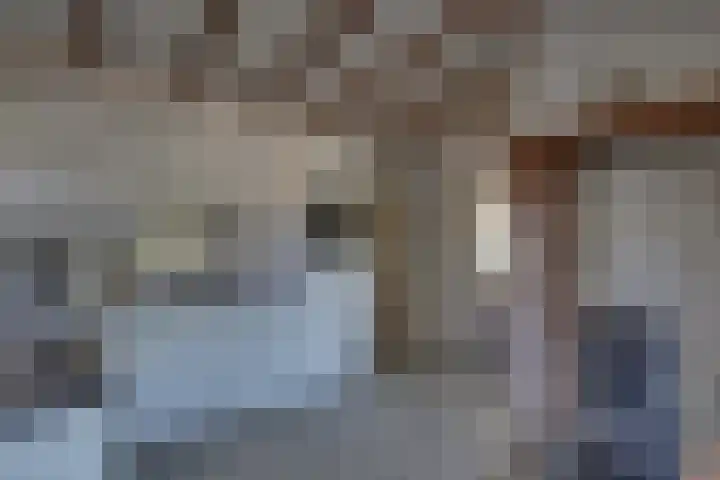 Larenseweg 49 Markelo thumbnail 9