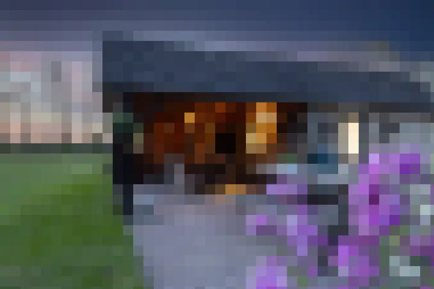 Larenseweg 52 Markelo thumbnail 32