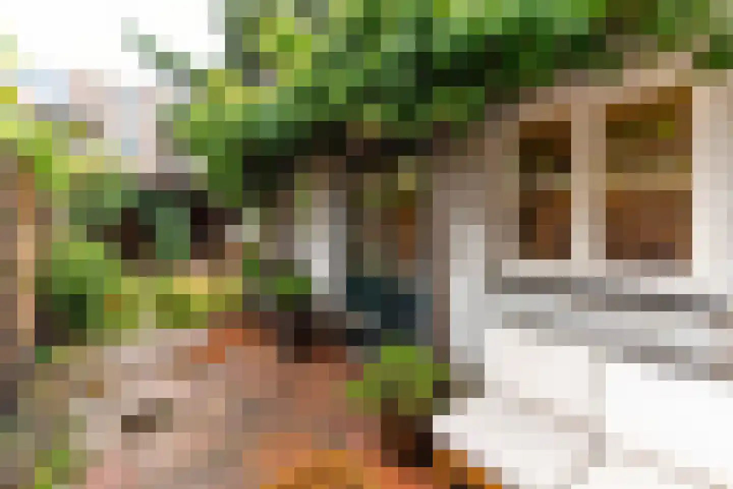 Larenseweg 55 Hilversum thumbnail 16