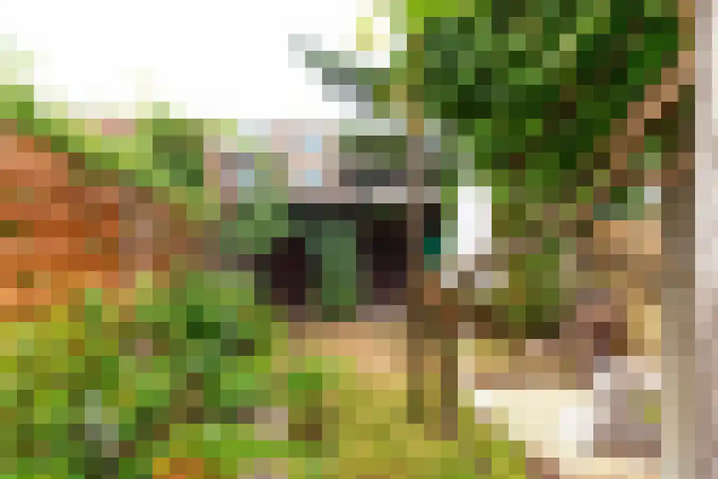 Larenseweg 55 Hilversum thumbnail 17