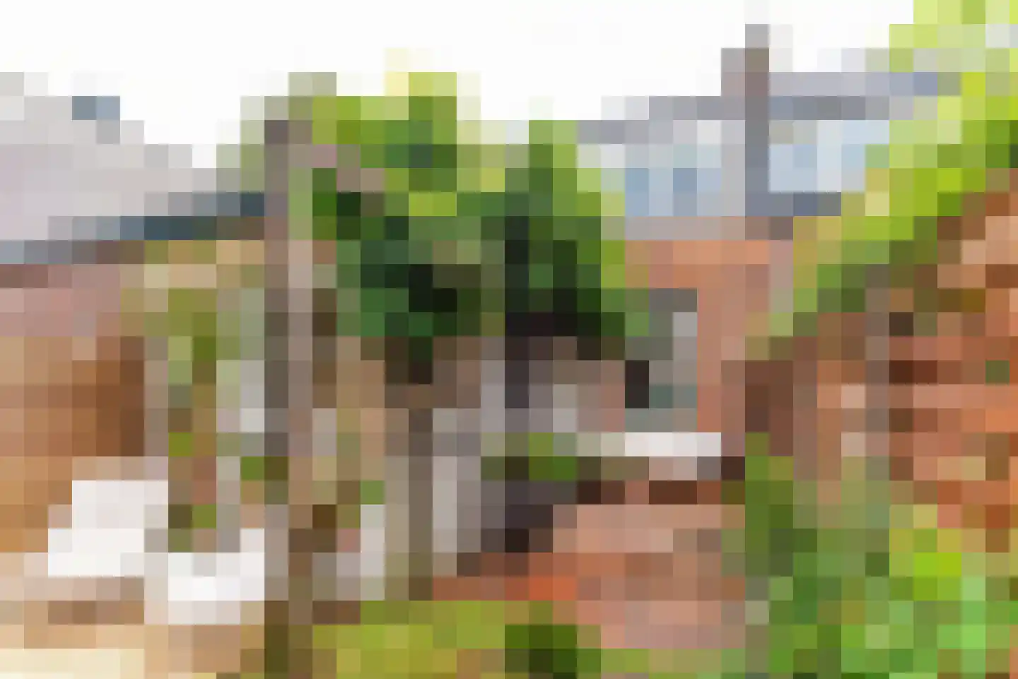 Larenseweg 55 Hilversum thumbnail 19